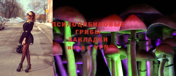 ALPHA PVP Ростов