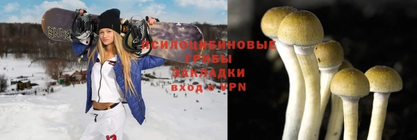 стаф Алзамай