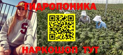 скорость mdpv Кингисепп