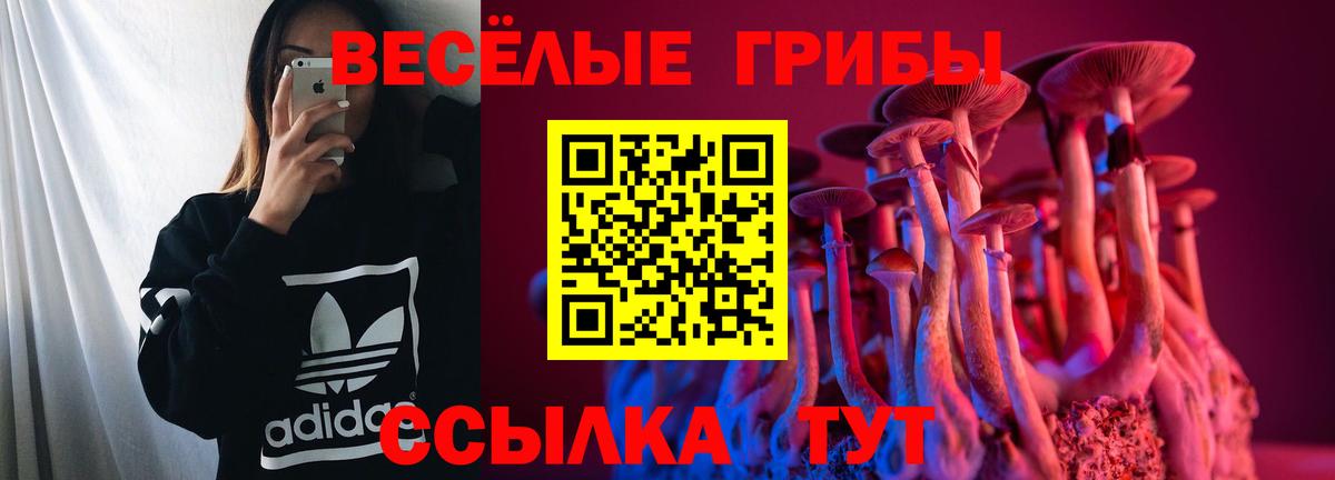 Псилоцибиновые грибы мухоморы  Галлюциногенные грибы Cubensis  Лиски  Вход с VPN 